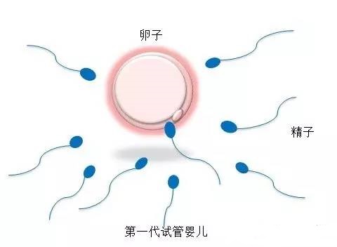 张蓝之主任